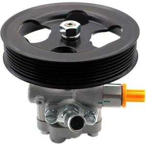 imageAUQDD 215366 Power Steering Pump For V856LwPulley and Pipe Fit For 0411 Infiniti QX56 0509 Nissan Armada 0810 Pathfinder Armada 0410 Titan Replace 49110ZV00A 19319398 965366